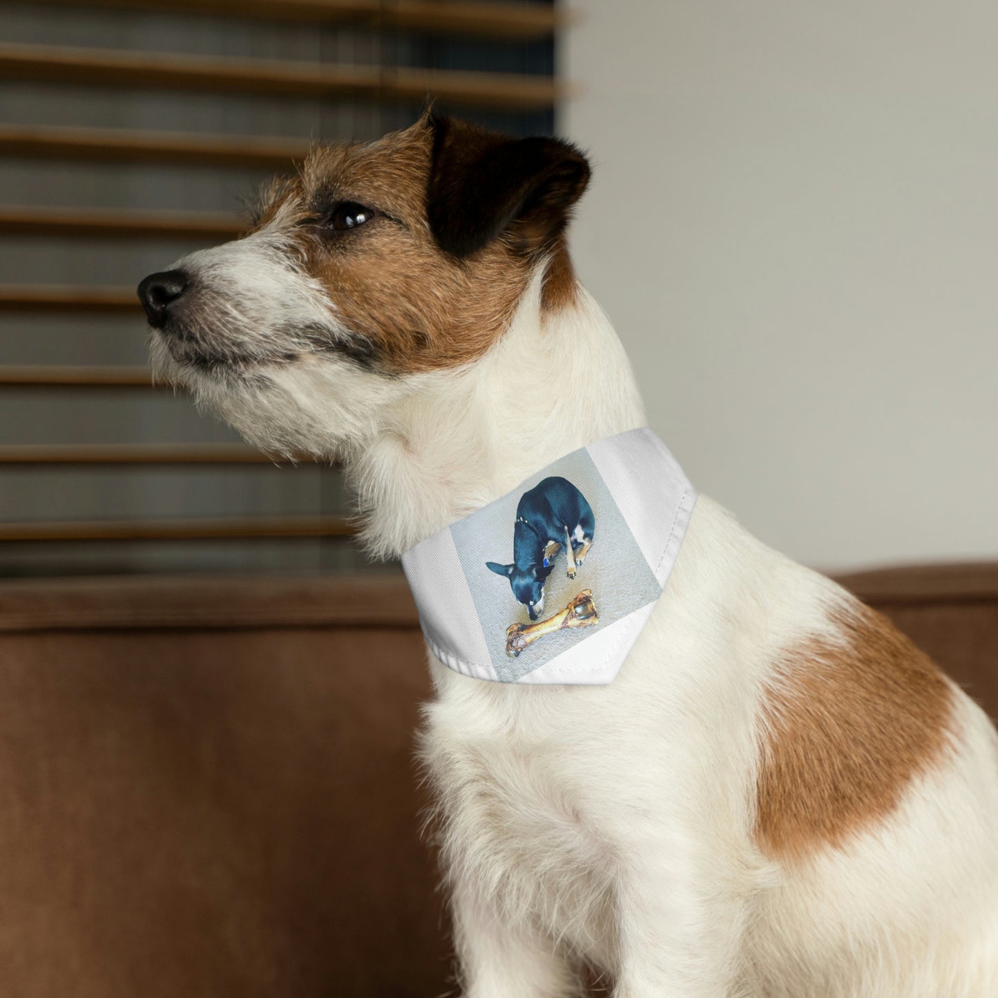 Determination Pet Bandana Collar