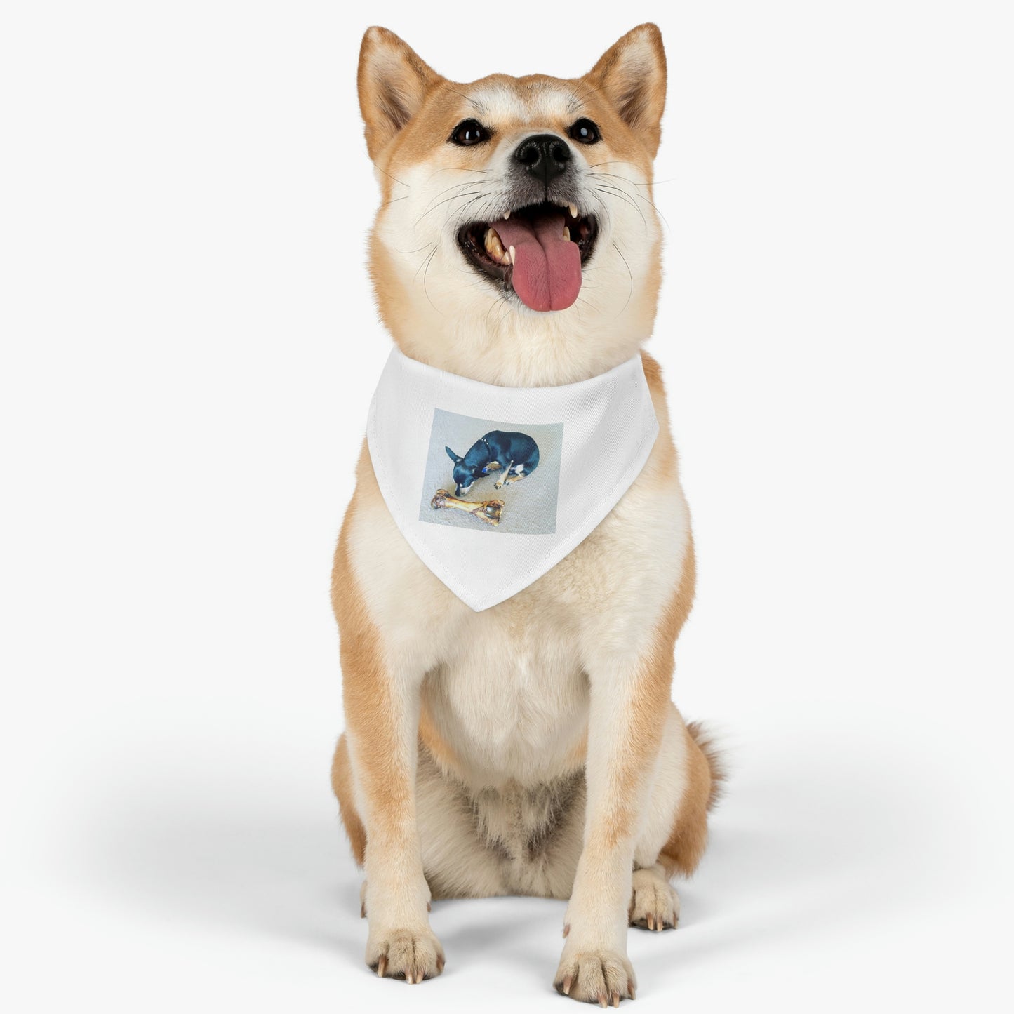 Determination Pet Bandana Collar