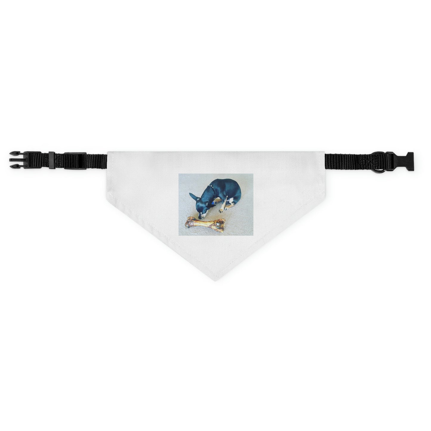 Determination Pet Bandana Collar