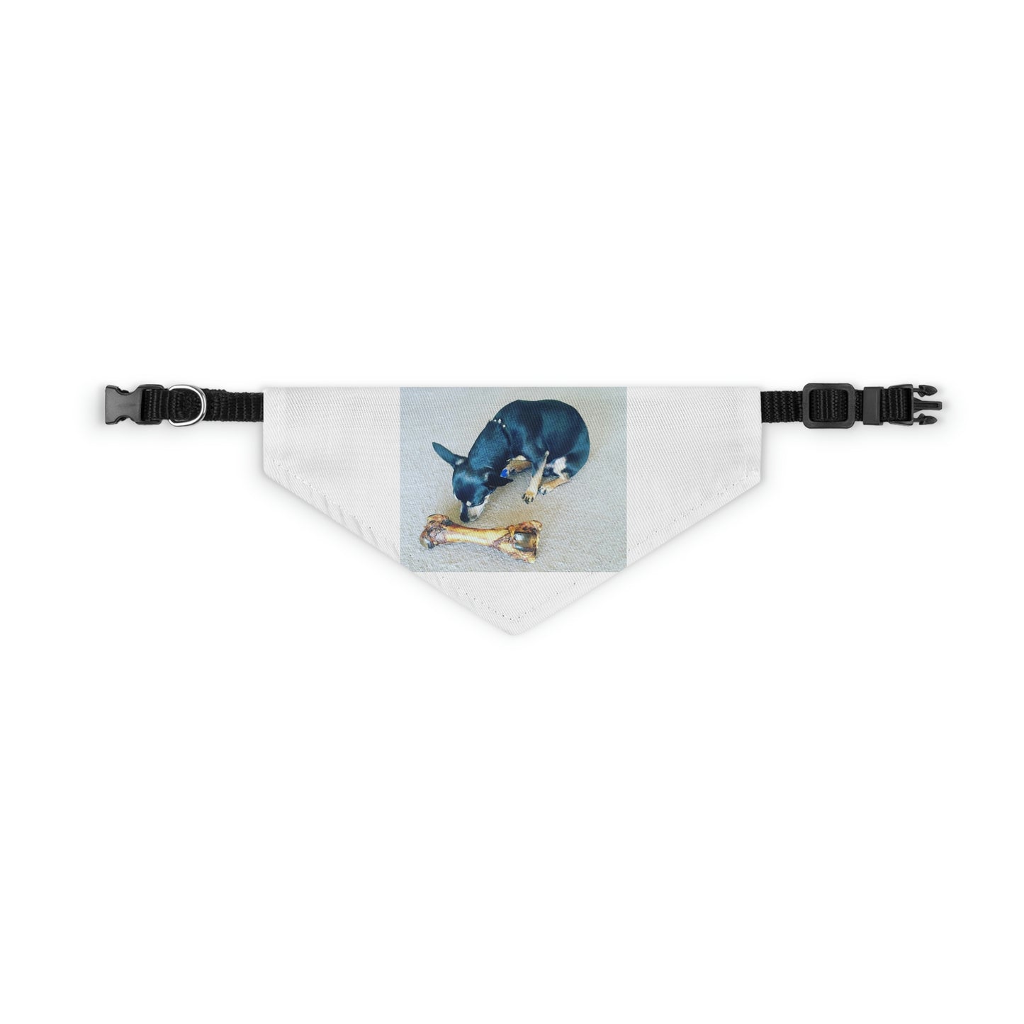 Determination Pet Bandana Collar