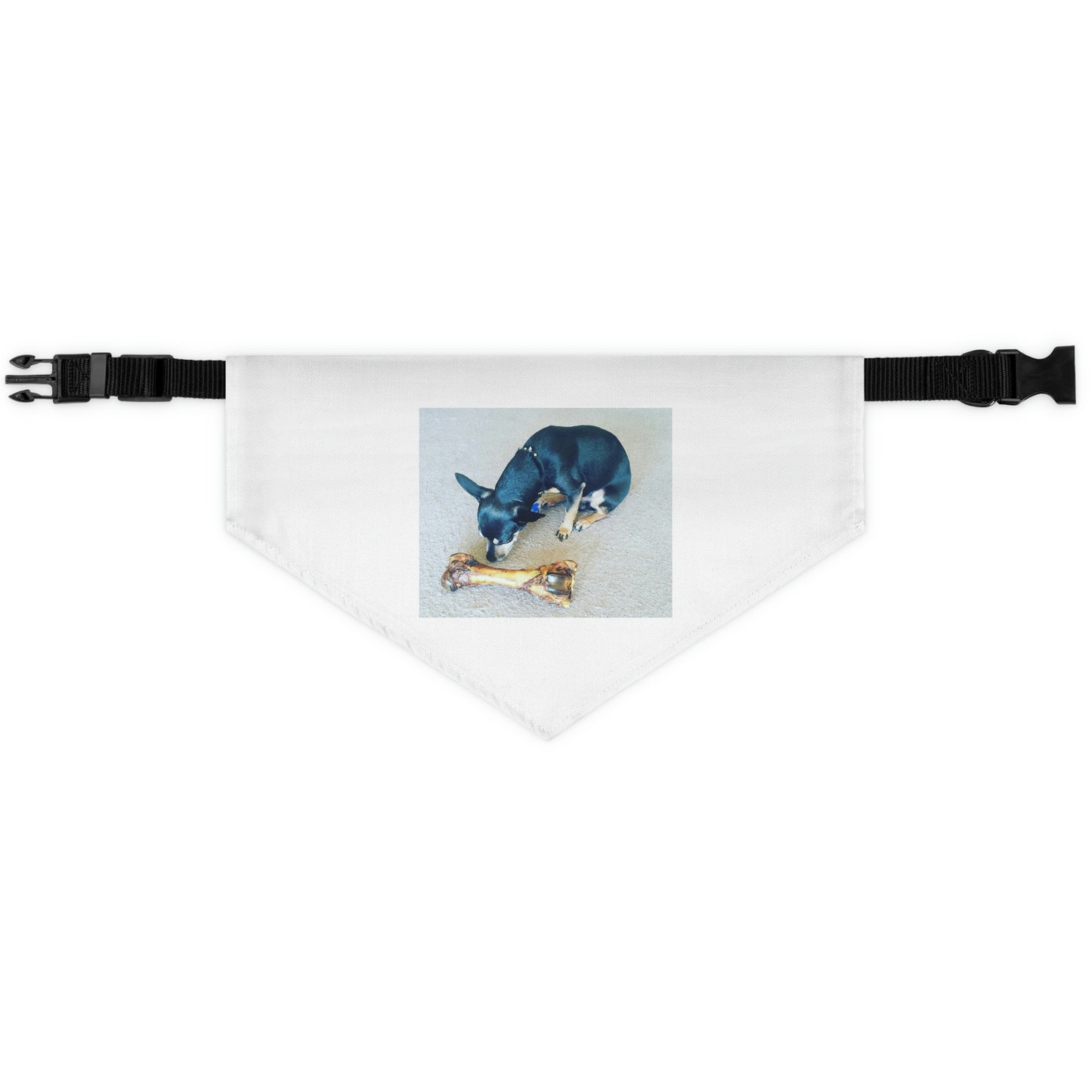 Determination Pet Bandana Collar
